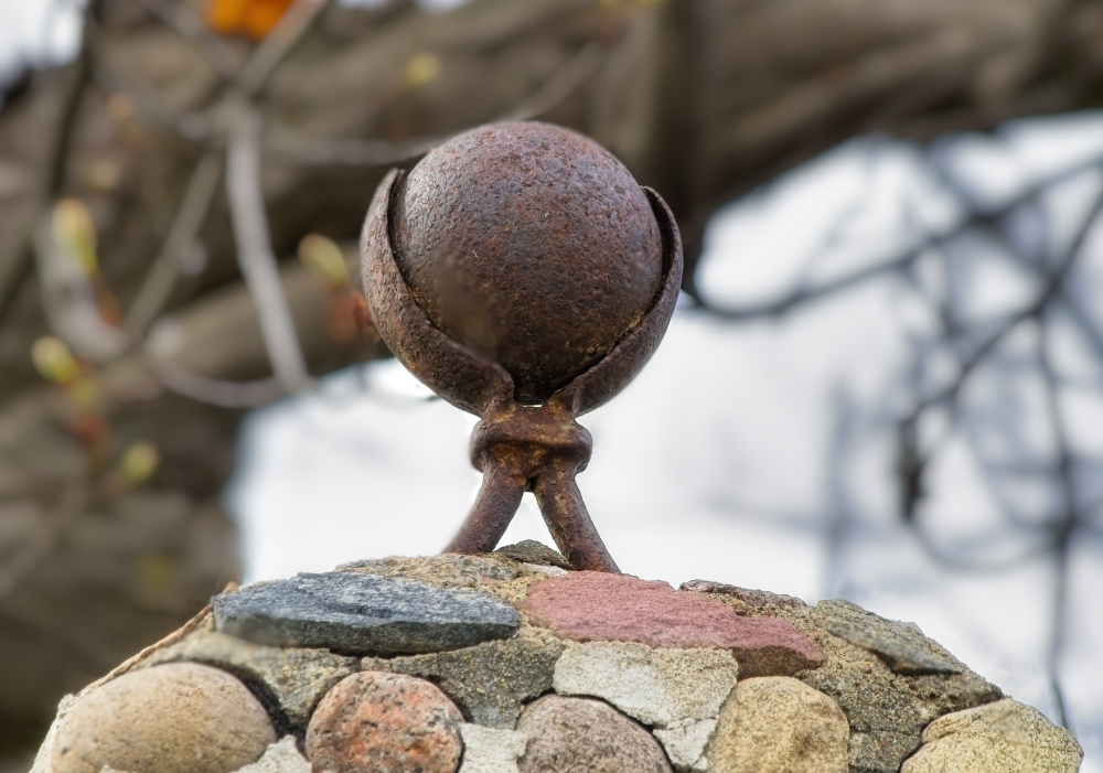 Assemblée annuelle de la Fondation